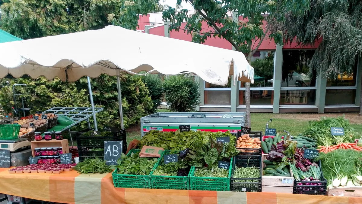 Légumes et cueillettes de saison