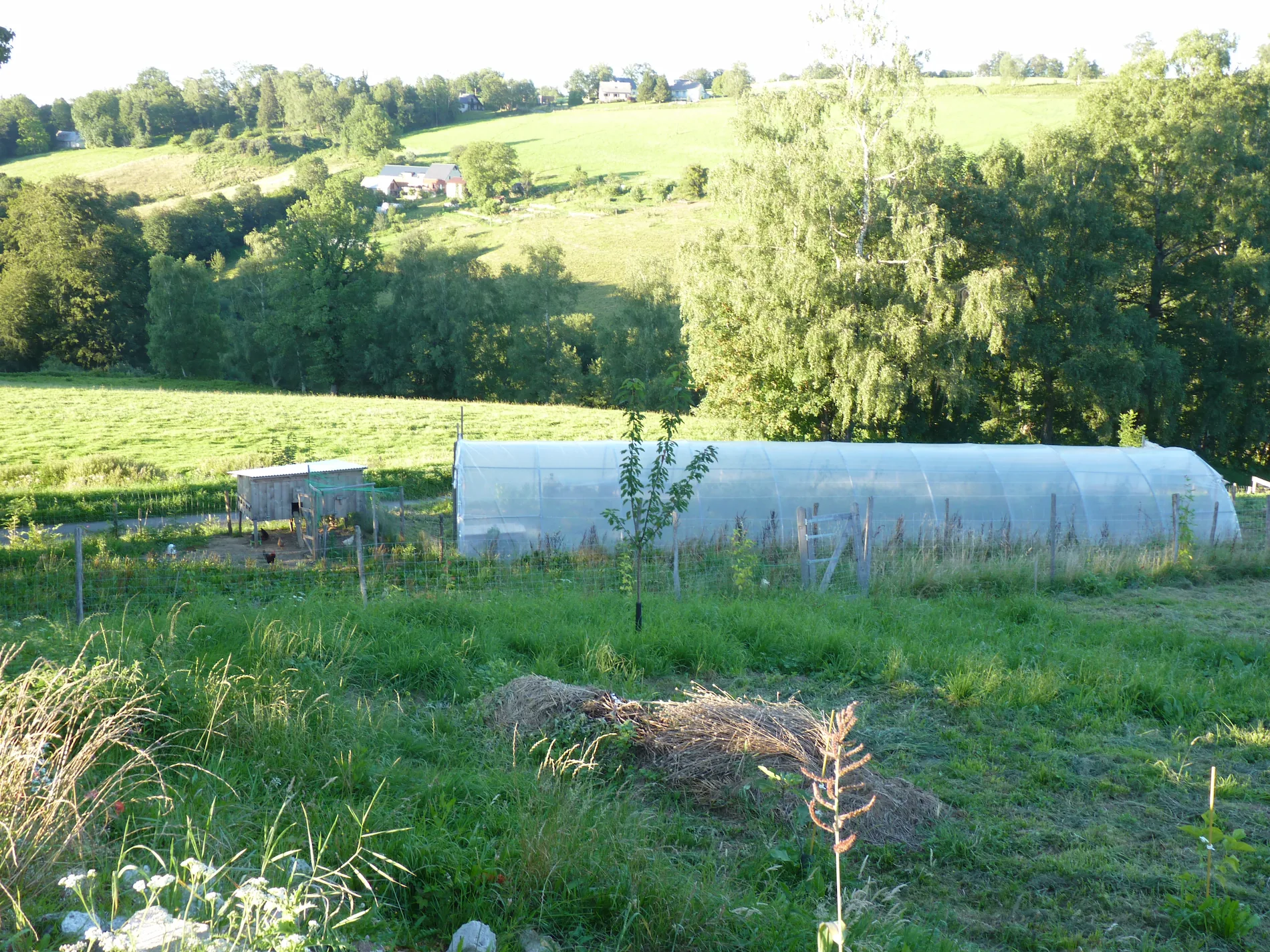 Vue du site — serre tunnel et poulailler, Gerde (65)